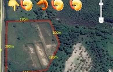 Imagem 13: AREA Beira de pista PB-008 COM 37.500m2 frente PB-008 4km da Praia Bela