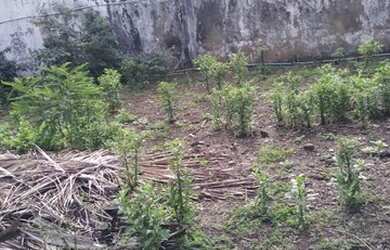 Imagem 7: vendo. 360m² de Área