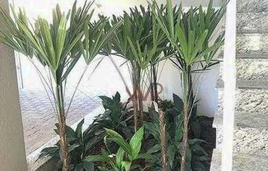 Imagem 8: Apartamento à venda, 38 m² por R$ 215.000,00 - Itaim Paulista - São...