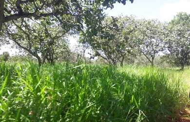 Imagem 3: Lote/Terreno para venda possui 20000 metros quadrados em Almeida - Jaboticatubas...