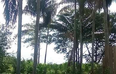 Imagem 3: Terreno 10x30 localizado em Porto Novo na inter praia