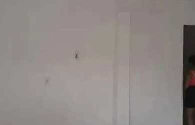 Imagem: A casa possui 3 Dormitórios, 3 Banheiros, 2 Vagas na garagem