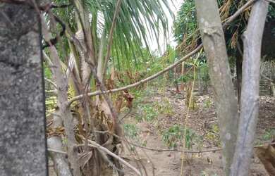 Imagem: O terreno está localizado em Tomba, Feira de Santana à venda