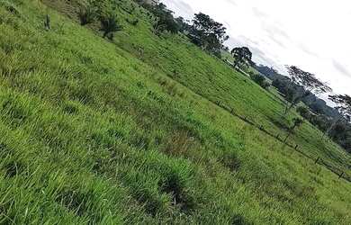 Imagem 10: Vendo uma linda fazendinha