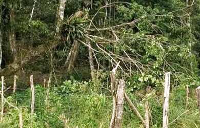 Imagem 1: Terreno a venda 60mil pego carro até 30 mil no negócio preferência...