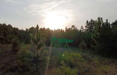 Imagem 12: Sítio à venda, 70000 m² por R$ 659.000 - Lagoa Country Club - Cidreira/RS