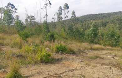 Imagem 5: Área rural em jarinu. 31.387m² de Área