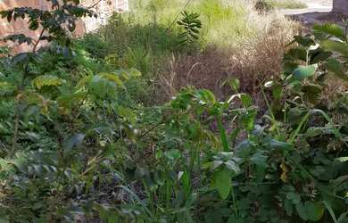 Imagem: O terreno possui 180m² de Área e está localizado em Jardim