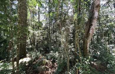 Imagem 2: Terreno a Venda em Canela