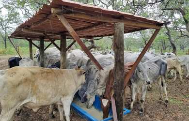 Imagem 9: Imóvel para venda possui 1010000 metros quadrados em Centro - Arinos...