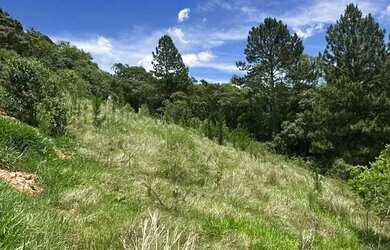 Imagem 6: 2 terrenos um ao lado do outro - 1600 metros quadrados em Lageadinho - Ibiúna - SP