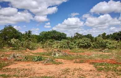 Imagem: A fazenda possui 20.000m² de Área e está localizado em Paraopeba