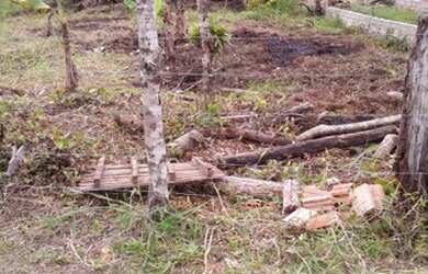 Imagem 2: Vendo terreno. 