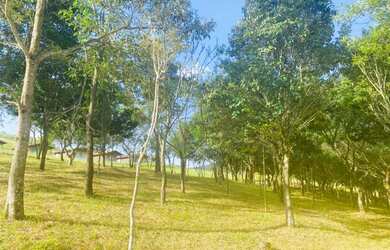 Imagem 4: Lote/Terreno para venda tem 999 metros quadrados em Sebandilha - Mairinque - São Paulo