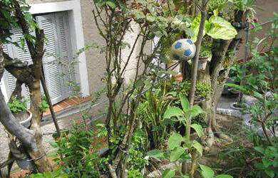 Imagem 3: Casa em São Paulo bairro Vila Romana