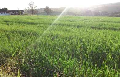 Imagem 3: ITAPETININGA - RURAL - ÁREA RURAL DE ITAPETININGA