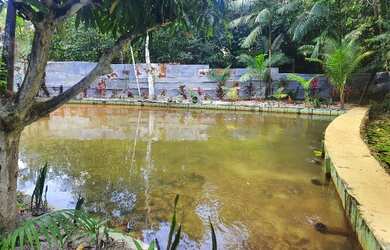 Imagem 9: Vendo Sítio 50 hectares na Alça Viária KM 32. Terreno 500.000m2