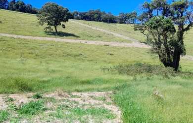 Imagem 11: Lote/Terreno para venda possui 1000 metros quadrados em vila verde