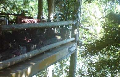 Imagem 15: Costeira espetacular. Piscina, Churrasqueira, Ar-condicionadoe800m² de...