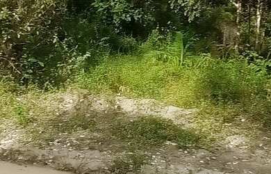 Imagem 2: Terreno 10x30 localizado em Porto Novo na inter praia