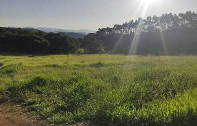 Imagem 2: Lote/Terreno para venda possui 1000 metros quadrados em Centro - Nazaré...