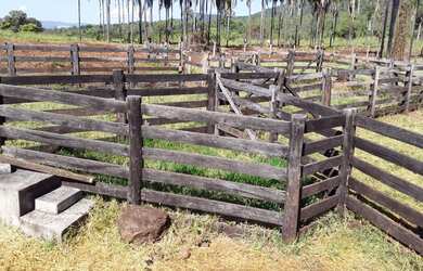 Imagem 3: MINAÇU - RURAL - Zona Rural