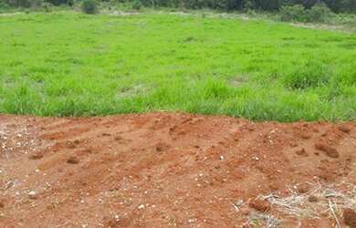 Imagem: O depósito possui 1.000m² de Área e está localizado em