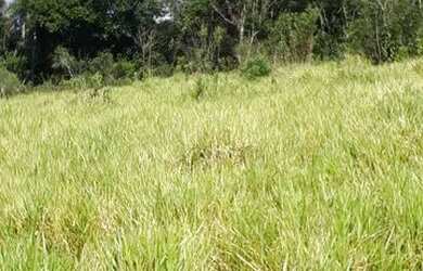 Imagem: O terreno possui 1.000m² de Área e está localizado em Jardim