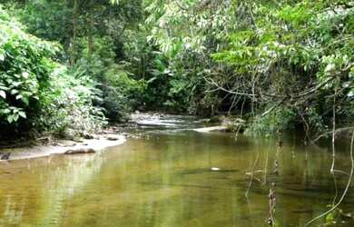 Imagem: A chácara possui 11.000m² de Área, Churrasqueira, Piscina