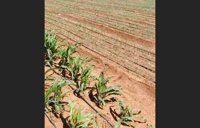 Imagem 4: Oportunidade única. 20.000m² de Área