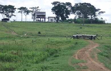 Imagem: A fazenda possui 50m² de Área e está localizado em Triângulo