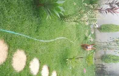 Imagem 3: Casa a venda não faz financiamento