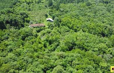 Imagem 11: Sítio / Chácara para Venda em Nova Petrópolis, Linha Olinda, 2 dormitórios,...