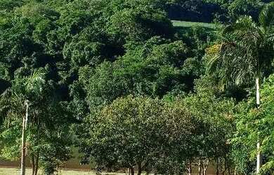 Imagem 6: Lote alagado salto caxias