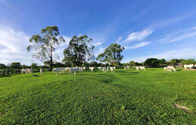 Imagem 16: Imóvel para venda possui 1010000 metros quadrados em Centro - Arinos...
