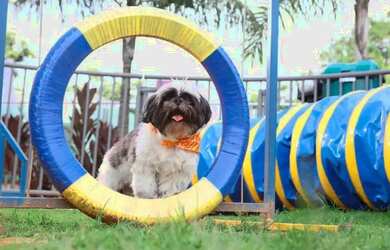 Imagem 13: Apartamento 2 - Cabral - Ao lado do Shopping Contagem