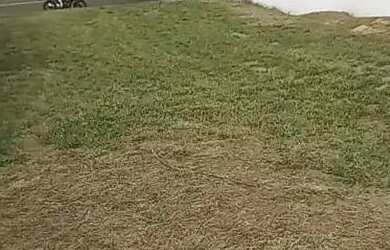 Imagem 6: Lote/Terreno para venda com 250 metros quadrados em Vila Zilda Natel -...