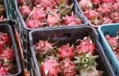 Imagem 1: Fazenda na pista Rodovia BR174, entre Km 60 e 63. 2.449ha com 3.900mts de fachada. 45.000