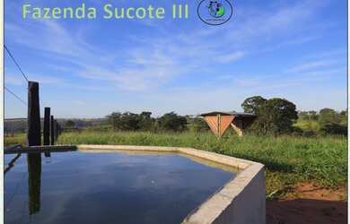 Imagem 3: Fazenda 46 alqueirao com tudo novo Campina Verde-