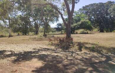 Imagem 13: Fazenda à venda, 561 hectares por R$ 7.100.000 - Zona Rural - São João...