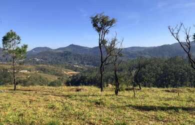 Imagem 7: Lote/Terreno para venda possui 1000 metros quadrados