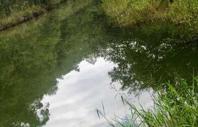 Imagem: O terreno possui 1.000m² de Área e está localizado em Centro