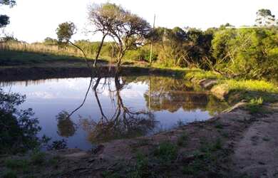 Imagem 3: Sítio à venda, 25000 m² por R$ 214.000,00 - Três Vendas - Pelotas/RS