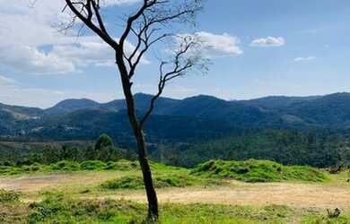Imagem 12: Lote/Terreno para venda com 1000 metros quadrados em Jardim Tapajós -...
