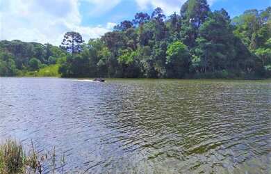 Imagem 1: Área para Venda em Tijucas do Sul, São Joãozinho