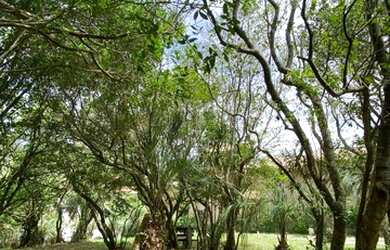 Imagem 15: Linda e aconchegante Pousada Encanto do Mar na praia do Rosa em Imbituba....