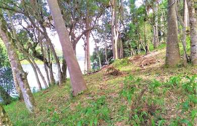 Imagem 10: Área para Venda em Tijucas do Sul, São Joãozinho