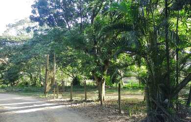 Imagem 3: Chácaras em Formate viana