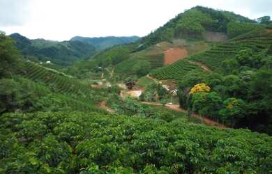 Imagem: A chácara possui 4.000m² de Área e está localizado em Santa