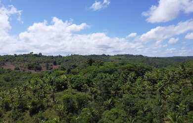 Imagem 16: Fazenda Mista em Conde -BA